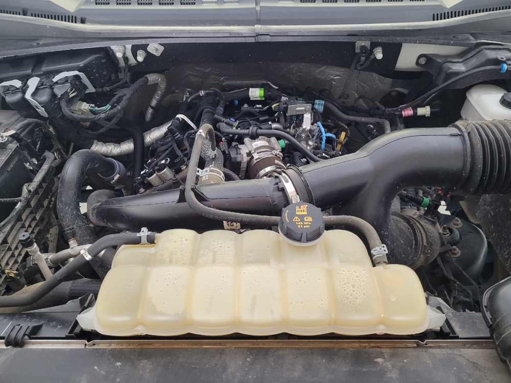 2019 Ford F-150 XL - Photo 23