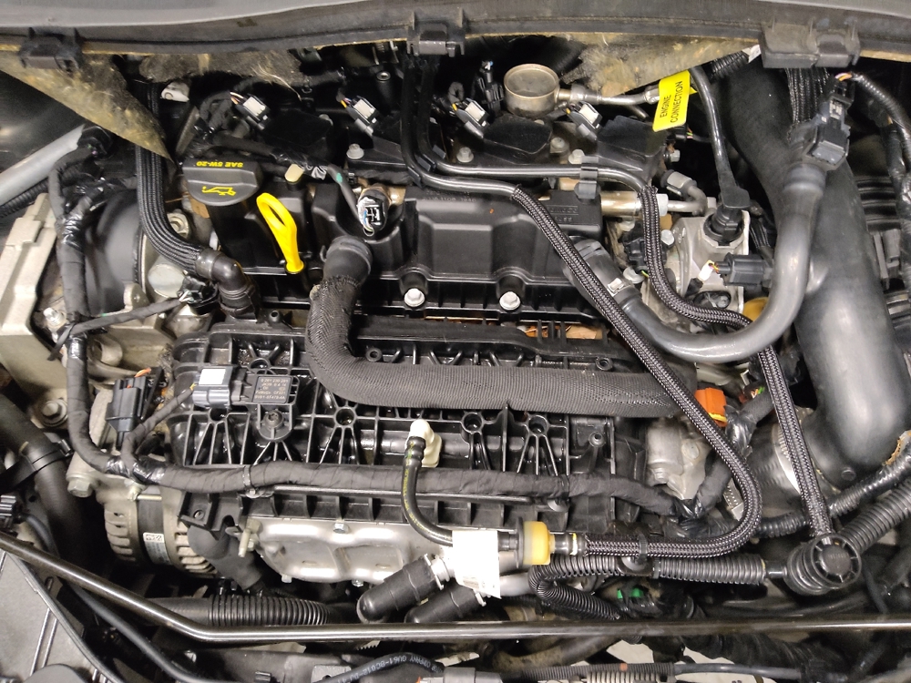2019 Ford Escape SEL - Photo 23
