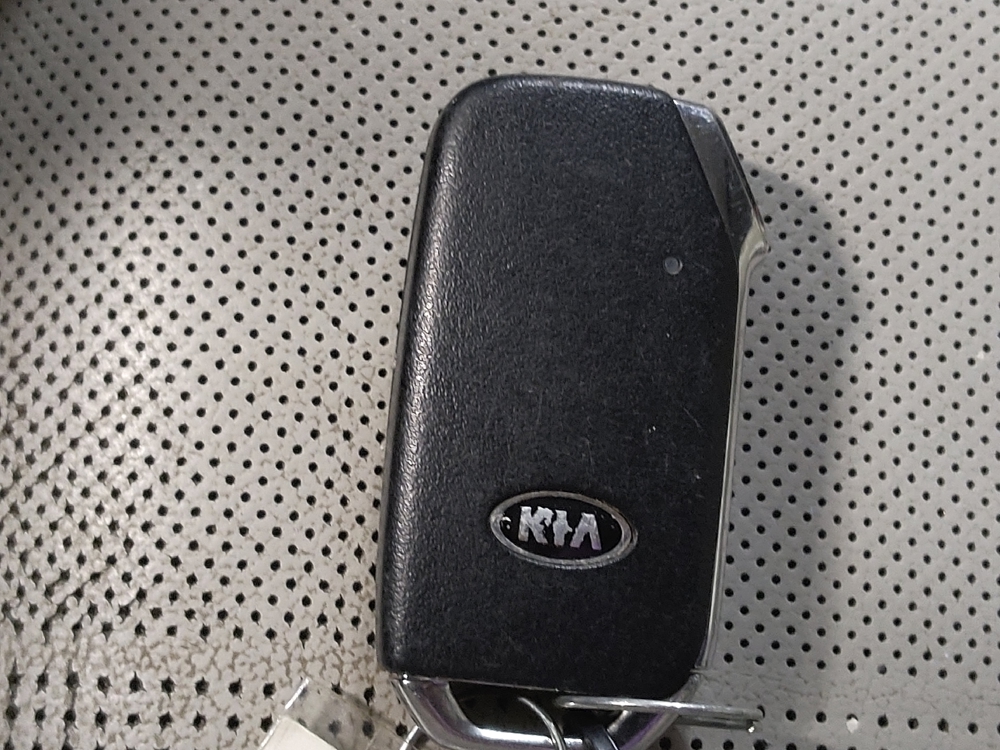 2020 Kia Telluride SX - Photo 25