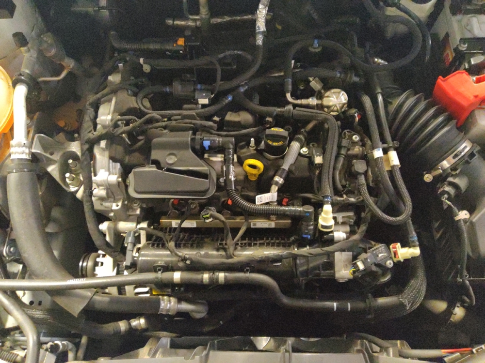 Photo 23