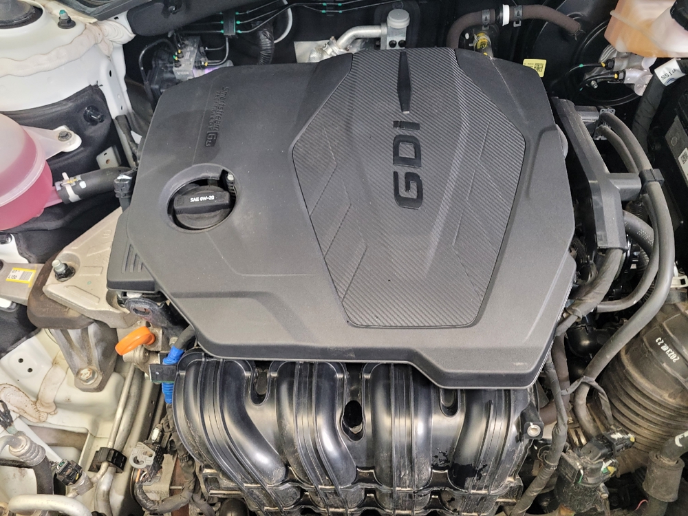 Photo 23