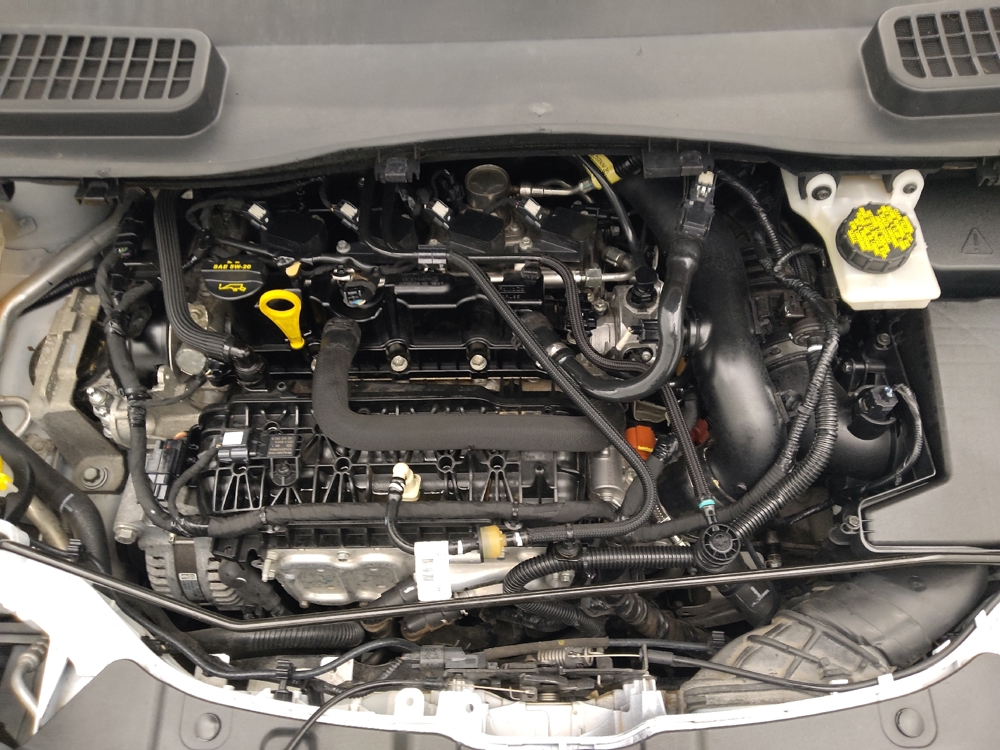 2019 Ford Escape SE - Photo 23